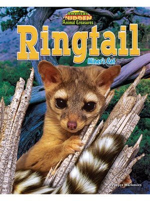cover image of Ringtail